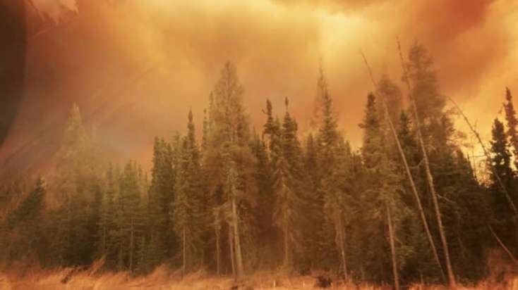 ​Kanadada 1052 məntəqədə meşə yanğınları davam edir