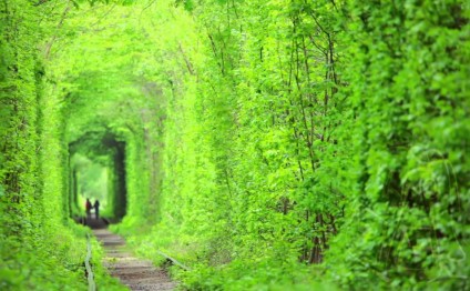 Dünyanın ən romantik və ecazkar 10 təbii tuneli - FOTOLAR 