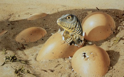 80 dinozavr yumurtası oğurlandı