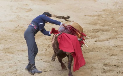 Buğa matadoru ölümcül yaraladı