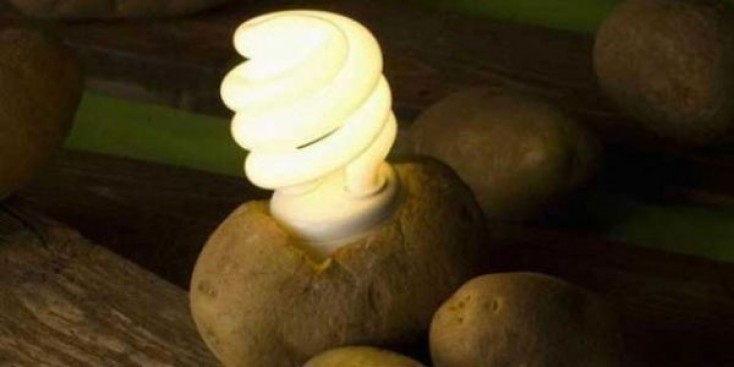 Kartofdan elektrik əldə etməyin yolu 