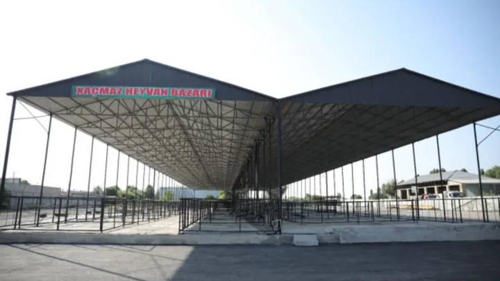 Xaçmazda heyvan bazarı fəaliyyətə başladı