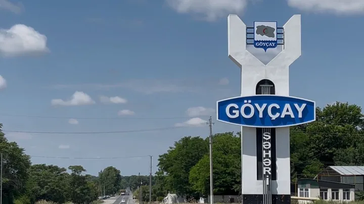 Göyçayda yaşıllıq məhv edildi -