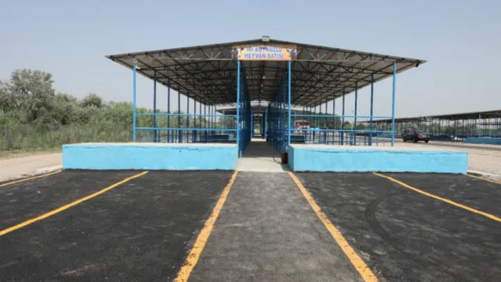 Sabirabad heyvan satışı bazarı fəaliyyətə başladı