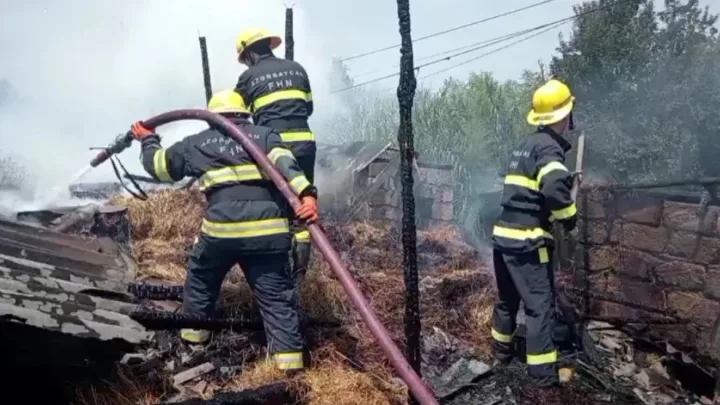 Göyçayda tövlədə yanğın oldu - 