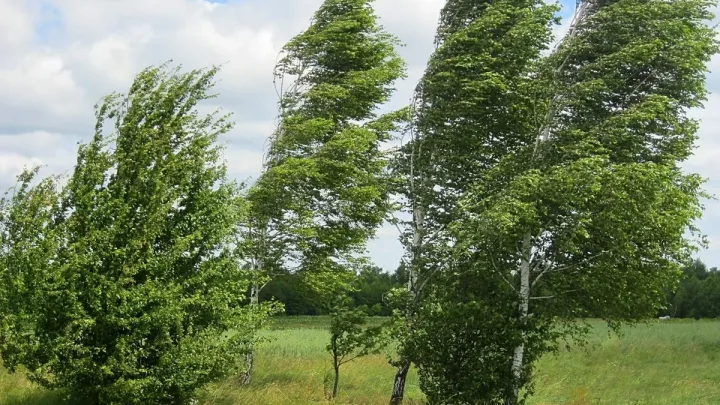 Hava ilə bağlı sarı xəbərdarlıq elan edildi