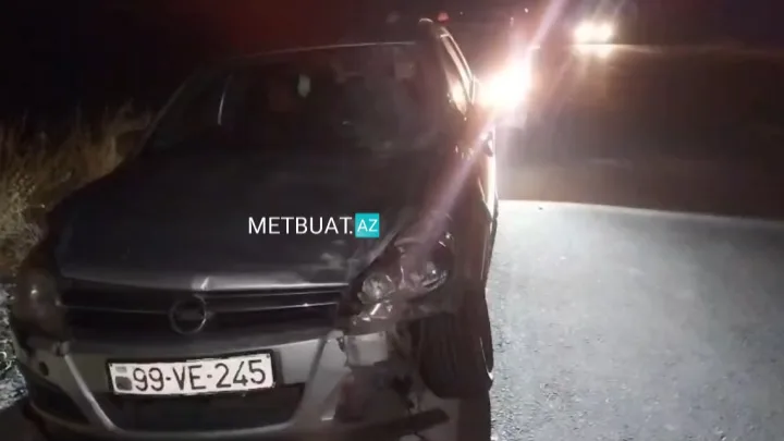 Yola çıxan heyvan qəzaya səbəb oldu - 