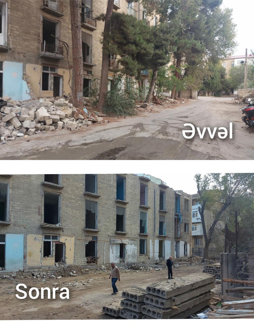Qanunsuz ağac kəsimi ilə bağlı toplanmış sənədlər Baş Prokurorluğa göndərilib