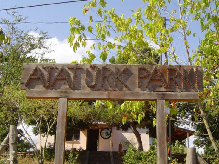 Atatürk parkı niyə sökülür?