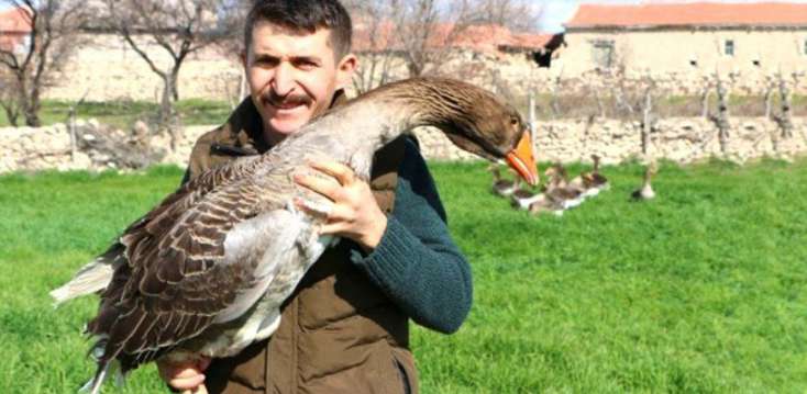 Hədiyyə olaraq aldığı qazları çoxaldaraq 100 min 