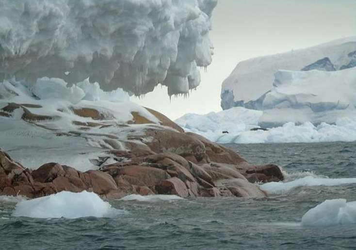 Antraktida buzlar əridi, yeni ada yarandı -