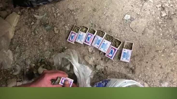 ​Suraxanı rayonunda narkotik bitkilər əkib-becərən şəxs saxlanılıb