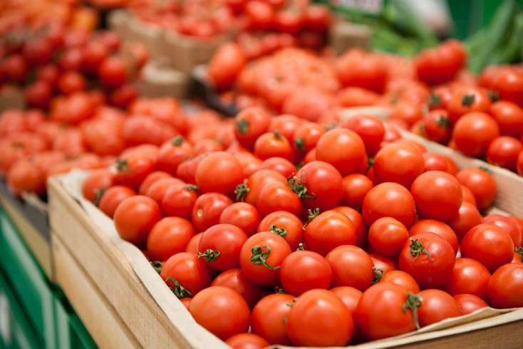 Azərbaycanın 120 ton pomidoru Rusiyaya 