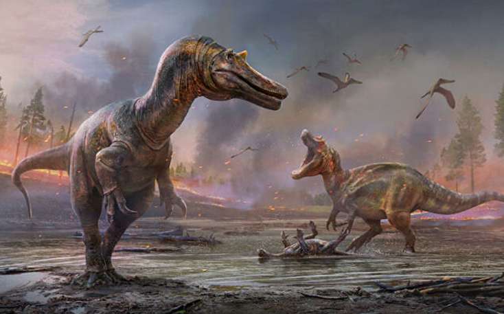 İngiltərədə iki dinozavr növü tapıldı