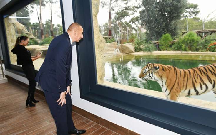 Prezidentlə ailəsi zooparkın açılışında -