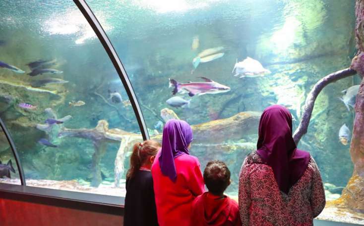 İraq və Suriyadan Vətənə qaytarılan uşaqların Bakı Zooloji Parkına ekskursiyası təşkil edilib - 