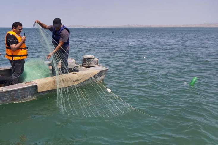 Qanunsuz balıq ovlayan 900-dən çox şəxs saxlanıldı