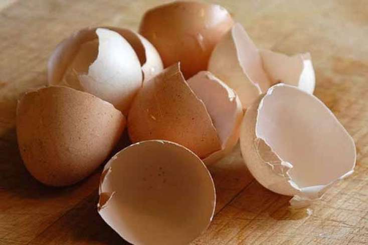 Yumurta qabığının 5 faydası