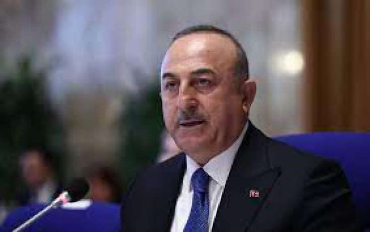 Çavuşoğlu Rusiyaya səfər edib