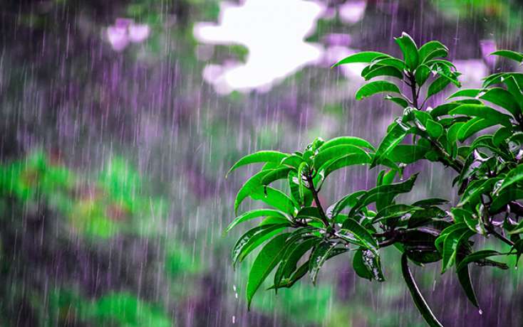 Bölgələrdə yağış yağıb, şimşək çaxıb - 