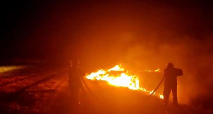 Sədərək rayonunda taxıl sahəsində baş verən yanğın söndürüldü - 