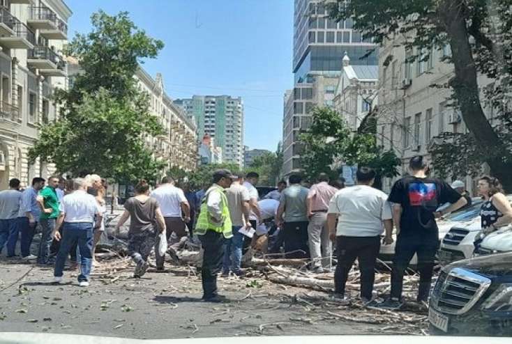 Bakının mərkəzində ağac yolun ortasına aşdı -