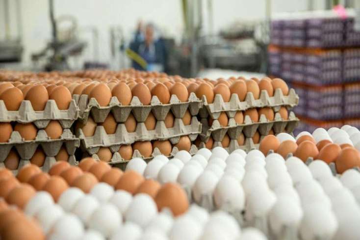 Azərbaycan Rusiyaya 1 ayda 2,1 milyon ədəd yumurta tədarük edib