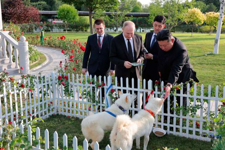 Bu ölkənin başçısı Putinə 2 ov iti hədiyyə etdi - 