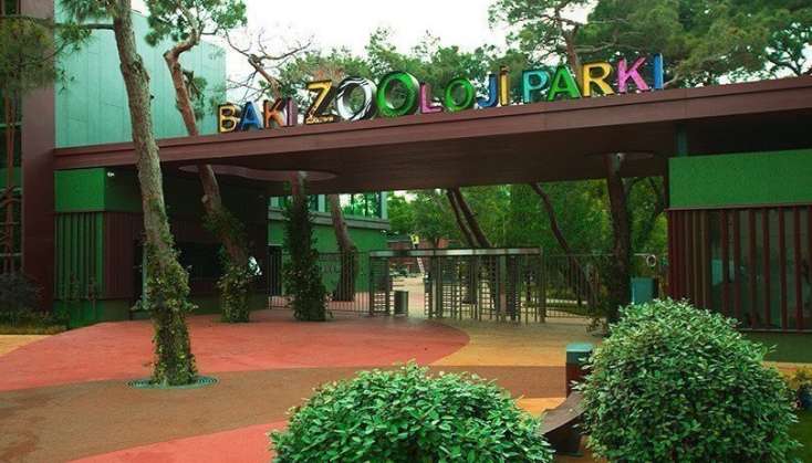 Zooparkda qiymət qaldırıldı
