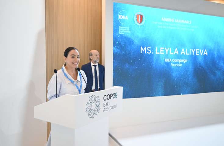 Leyla Əliyeva COP29 çərçivəsində müzakirələrdə iştirak etdi - 