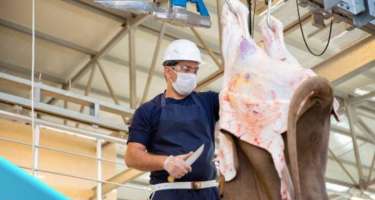 Bakıda qurbanlıq heyvanların kəsim yerləri - 
