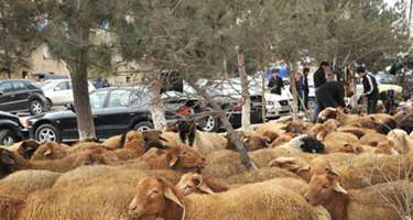 Bayramla əlaqədar satış yarmarkalarının keçiriləcəyi