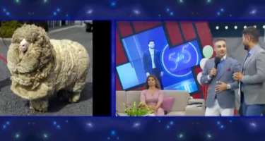 Baxın görün ​Rüfət Axundov Elza Seyidcahana hansı qoçu göndərdi - 