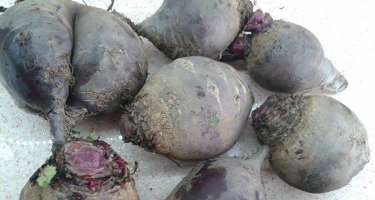 ​XƏRÇƏNGİN QATİLİ İMİŞ