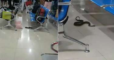 Aeroportda qorxulu AN -