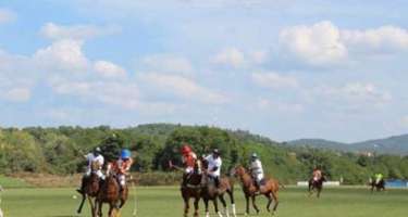 Azərbaycan yığma komandası Polo üzrə Avropa çempionatına böyük qələbə ilə başladı 