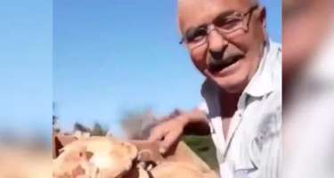 Sosial mediada izlənmə rekordları qıran 