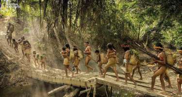 Vəhşi heyvanlarla birlikdə yaşayan qəbilə