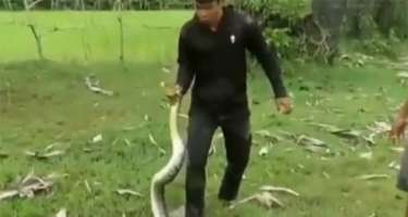 İlanın hücumuna məruz qalan iti xilas etmək üçün...