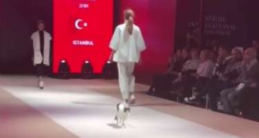 Podiumda pişik surprizi