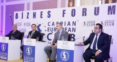 “Miqrasiya tənzimlənmədiyi zaman ciddi problemlər yaradır” - 