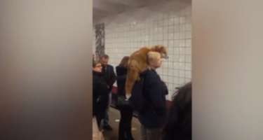 Metroya minən qadın bu hərəkəti ilə təəccübləndirib -