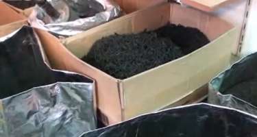 Bazarda yerli çayın kİloqramı 100 manatdan bahadır - 