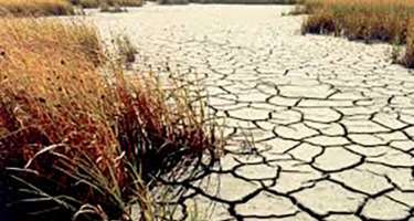 Cari il meteoroloji müşahidələr tarixində ən isti 