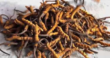 TƏBİİ VİAQRA- 