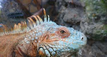 Bakı zooparkından gözəl görüntülər