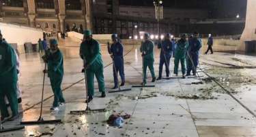 Minlərlə tarakan və çəyirtkə Məkkəyə hücum etdi