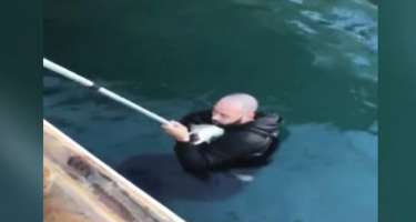 Pişik balasını xilas etmək üçün 