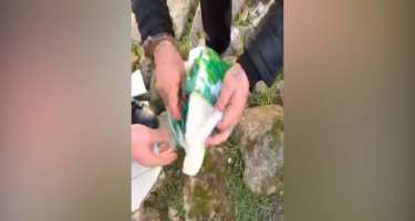 Maştağada narkotik satıcısı saxlanılıb