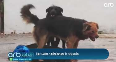 ​"Uşağı metrlərlə sürüyüb" – Küçə itinin dişlədiyi Hüseynin atası DANIŞDI – 